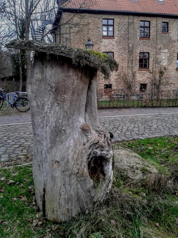 Ein ideales Dach habe ich hier fotografiert: Siebdruckplatte mit Teichfolie belegt, darauf Gestein mit wenig Erde, Moose und Steinbrech. (Foto: Gunnar Weidt)