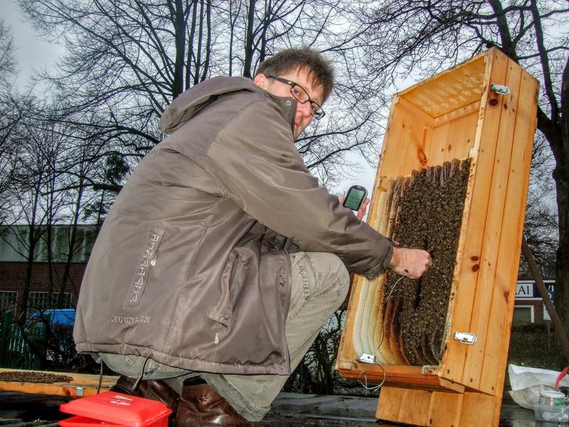 &raquo;Fieber messen&laquo; in der Bienenkiste (Foto: Martin Gruber)