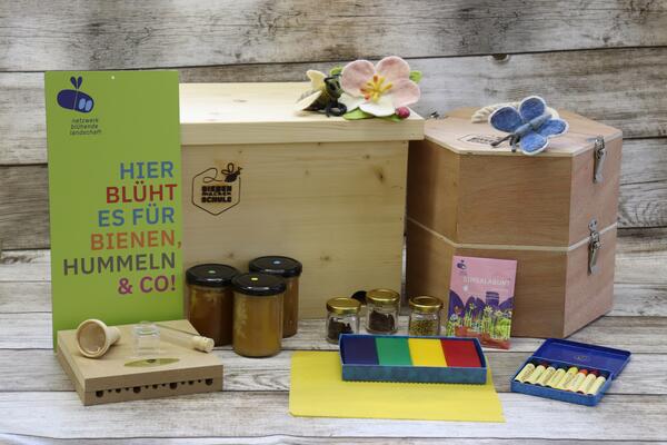 Erlebnis Bienenwunder Grundschule