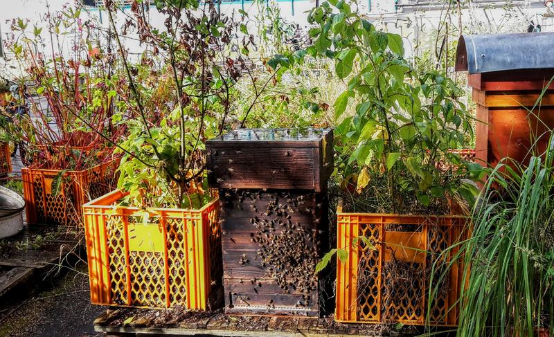Urban Tree Hive (UTH) (Foto: Gunnar Weidt)