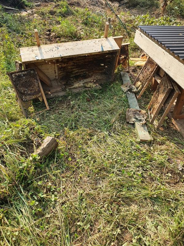 Die zerstörte Bienenkiste. (Foto: Uwe Stahl)