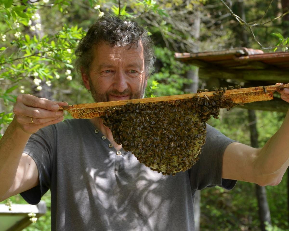 Auf Augenh&ouml;he mit den Bienen: Mellifera-Imker Andreas Halder am Bienenlehrpfad Lagd. (Foto: Lydia Wania-Dreher)