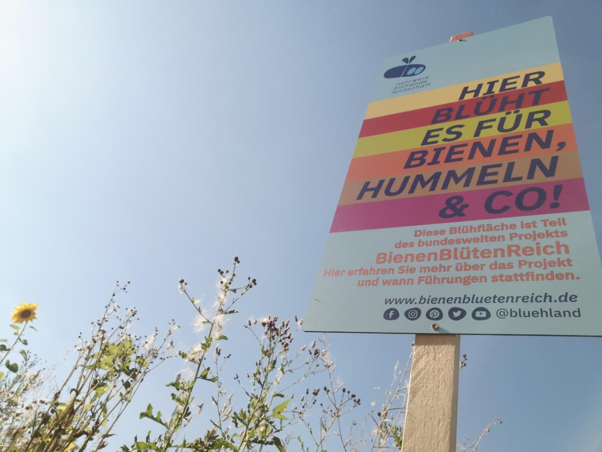 Seit 10 Jahren sorgt das BienenBl&uuml;tenReich daf&uuml;r, dass es in ganz Deutschland hei&szlig;t: "Hier bl&uuml;ht es f&uuml;r Bienen, Hummeln & Co." (Foto: Marie Holler)