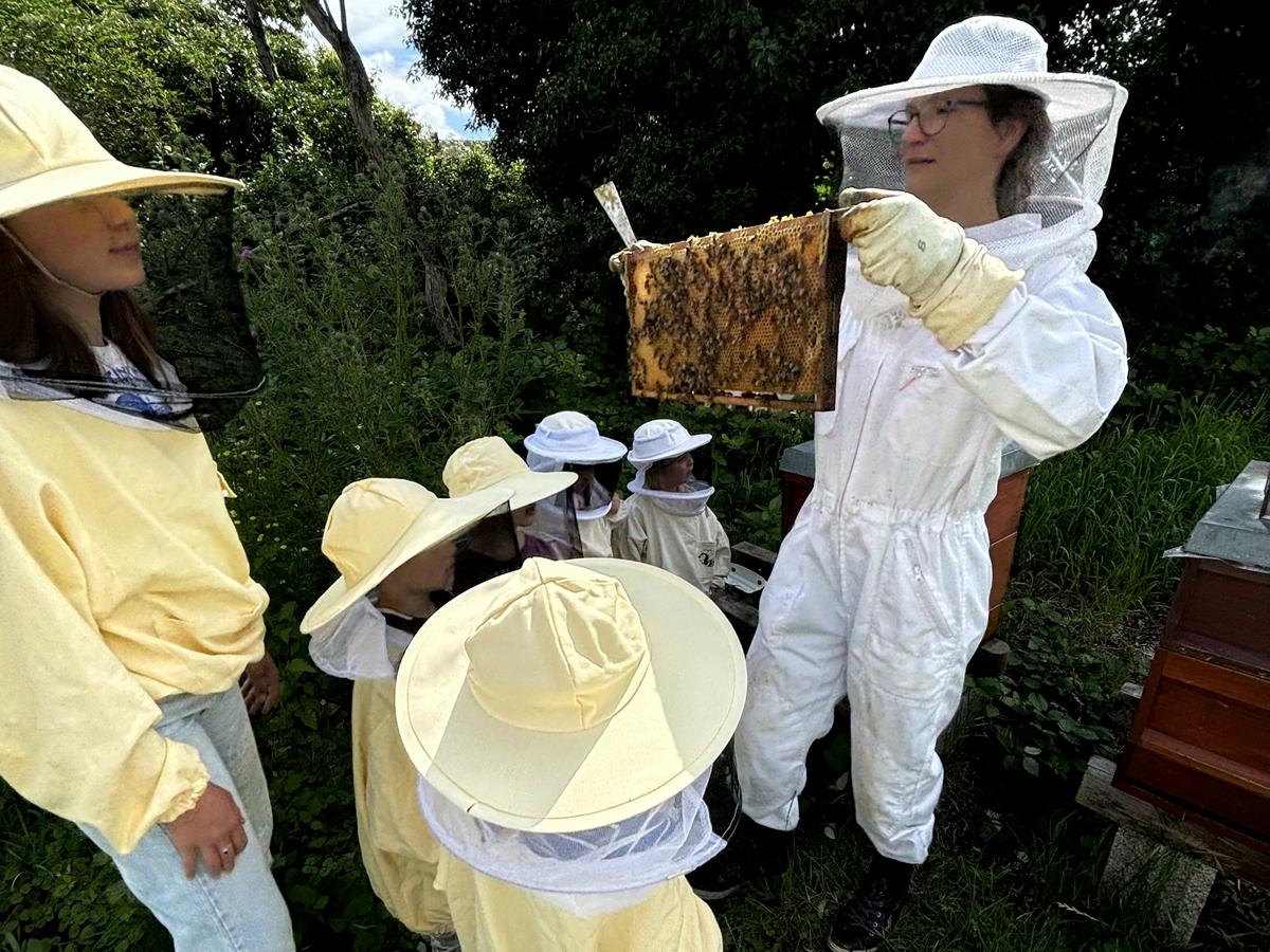 Auf Tuchf&uuml;hlung mit den Bienen geht es bei Bienen-Erlebnistagen in ganz Deutschland. (Foto: IGS Koblenz)