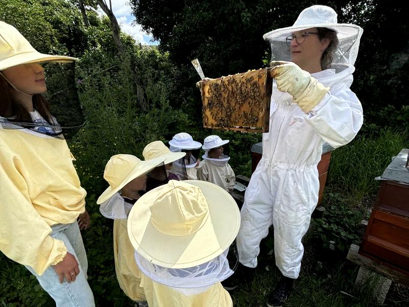 Auf Tuchf&uuml;hlung mit den Bienen geht es bei Bienen-Erlebnistagen in ganz Deutschland. (Foto: IGS Koblenz)