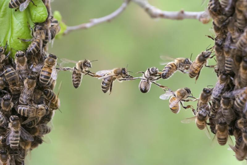 Gro&szlig;e Taten schafft man nur im Team &ndash; und f&uuml;r dieses suchen wir Verst&auml;rkung. (Foto: Shutterstock)