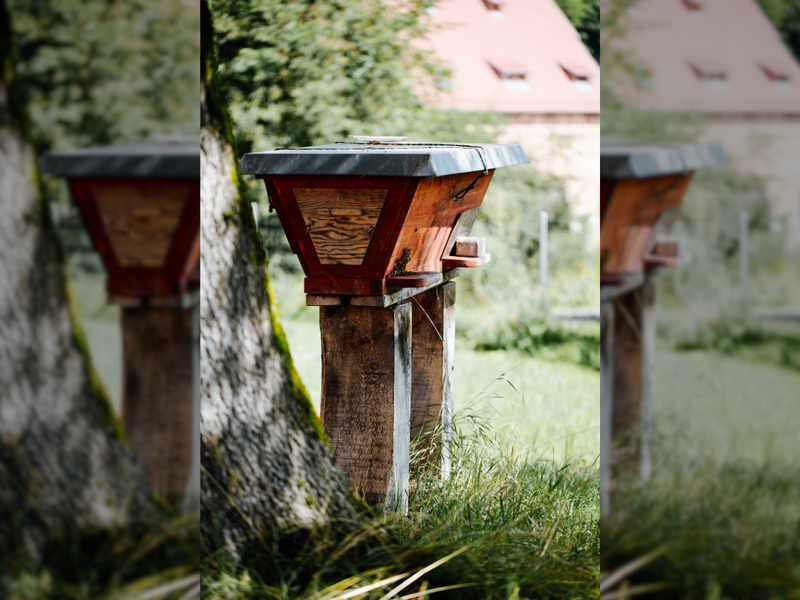  (Foto: Mich&egrave;le Brunnmeier)
