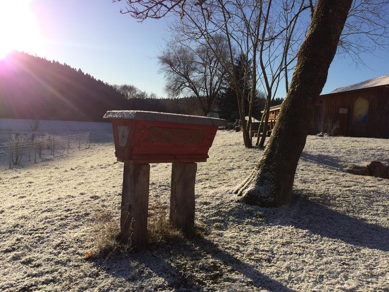 Milder Wintertag an der Fischerm&uuml;hle. (Foto: Mellifera e. V.)
