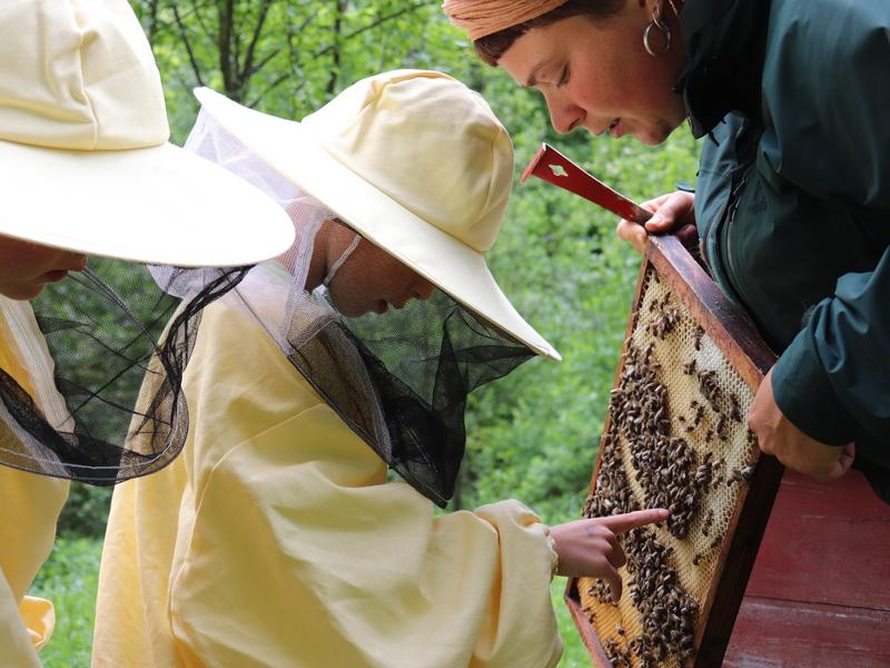 Erlebt man die Bienen hautnah, kann man eine Menge &uuml;ber die Natur lernen. (Foto: Nick Leukhardt)