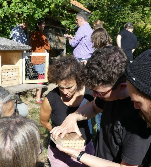 Blick in die Wildbienen-Nisthilfe. 