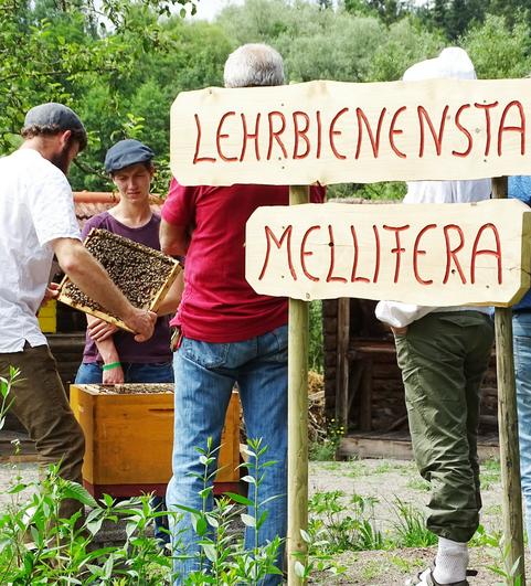Vorf&uuml;hrung der verschiedenen Beuten am Lehrbienenstand 