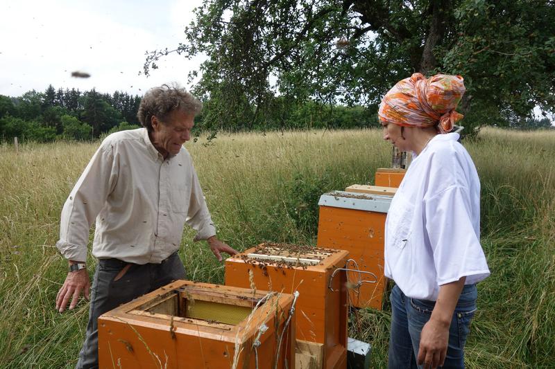 Die Forschungsarbeit mit und an den Bienen spielt bei Mellifera e. V. eine wichtige Rolle. Wie hier im Projekt der 45-Liter-Beuten. (Foto: Katrin Sonnleitner)