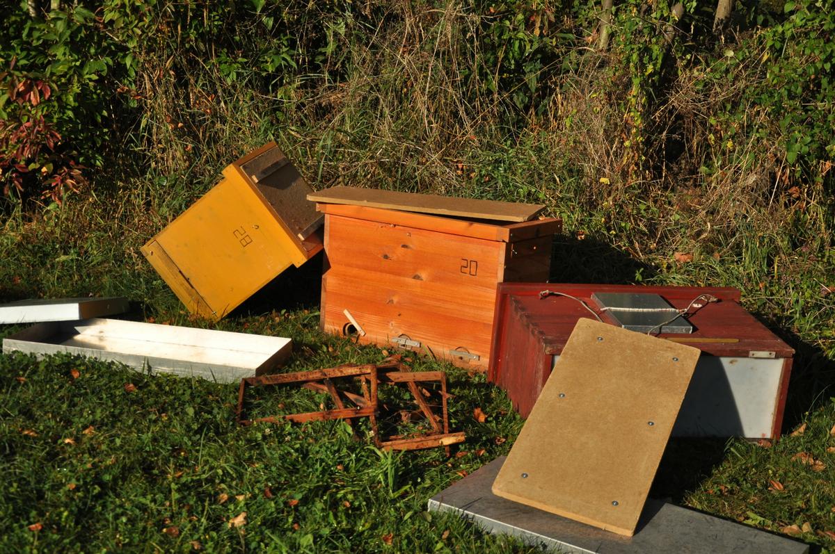 Vandalismus - ein Fall f&uuml;r die Mellifera-Solidargemeinschaft 