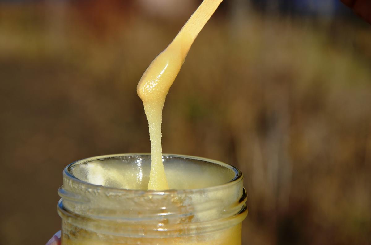 Honig schmeckt lecker und tut gut. (Foto: Mellifera e. V.)