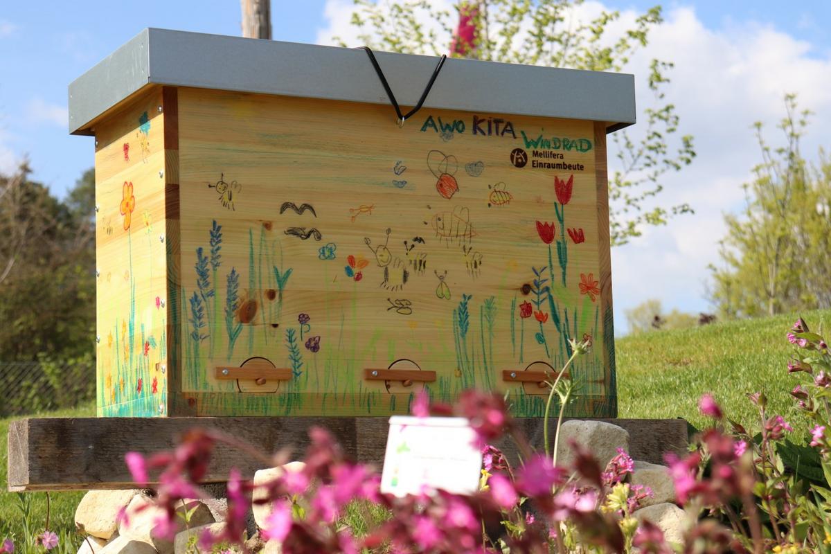 Tausende Menschen konnten 2023 eine Mellifera Einraumbeute auf der Balinger Gartenschau bestaunen. (Foto: Nick Leukhardt)
