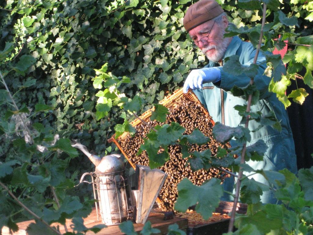 Michael Weiler bei den Bienen. (Foto: Privat)