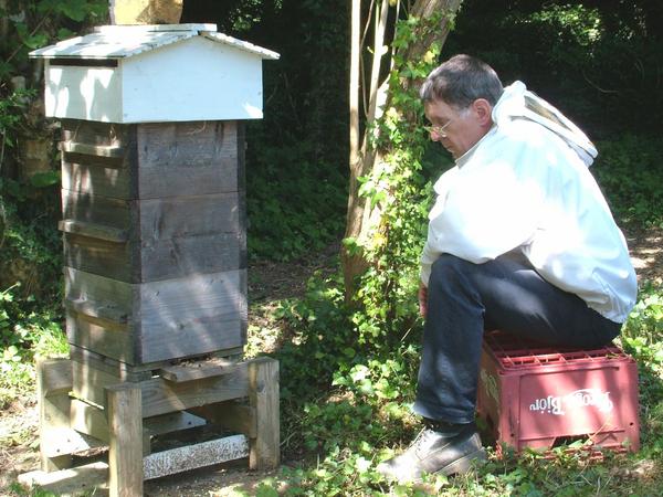 David Heaf imkert unter anderem mit Warrè Beuten. (Foto: privat)