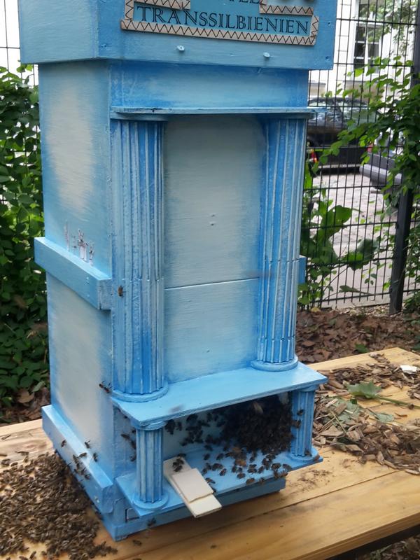 Bienenbeute mal anders: Hotel Transilbienien (Foto: Gunnar Weidt)