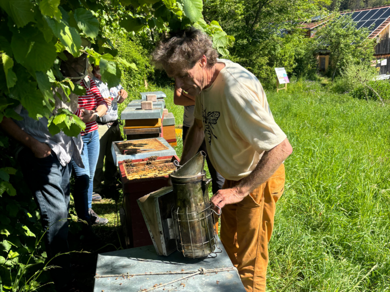 Johannes Wirz &ndash; ohne Schleier an den Bienen. (Foto: Lana-Jolie Mager)