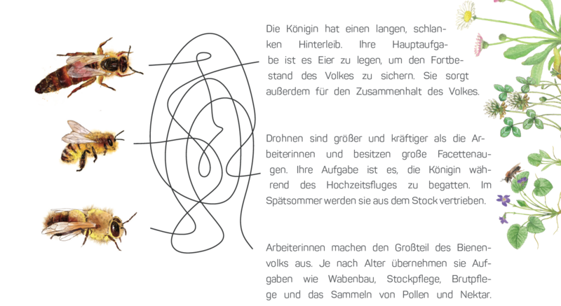  (Foto: Simon Marquart)