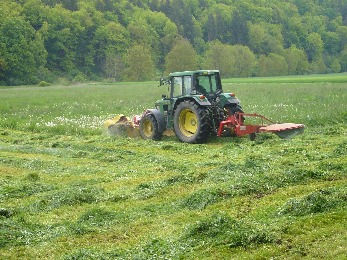 Bei der Fr&uuml;hjahrsmahd (Foto: Marion Ruppaner)