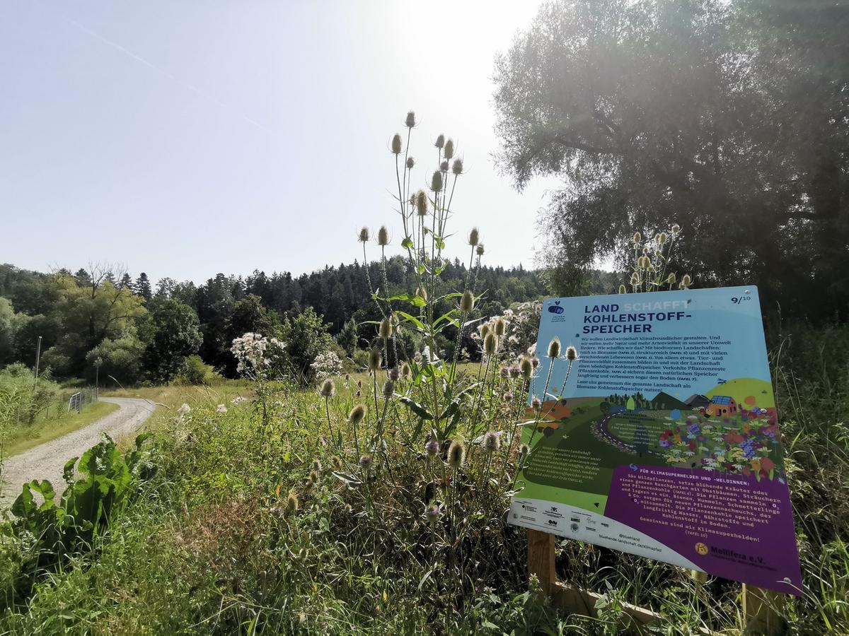 Insgesamt 10 Tafeln kl&auml;ren &uuml;ber Biodiversit&auml;t und den Klimawandel auf. (Foto: Marie Holler)