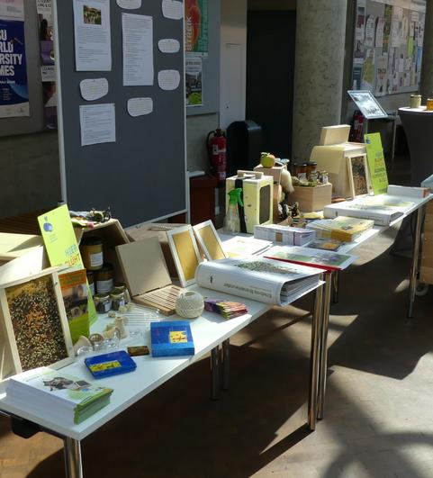 Markt der M&ouml;glichkeiten - Bienen machen Schule. 