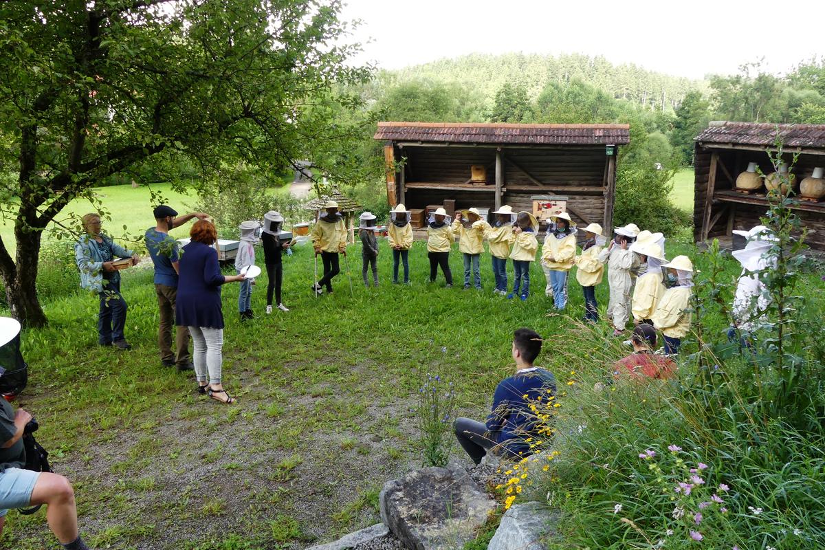 Aufmerksam schauen sich die Kinder Bienenwaben an, die ihnen von den angehenden Bienenp&auml;dagog*innen gezeigt werden. (Foto: Mellifera e. V. / Jonas Ewert)
