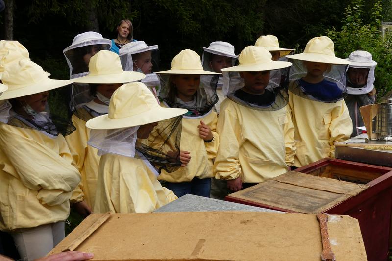 Die Wärme des Bienenvolkes ist durch das Wachstuch deutlich zu spüren. (Foto: Mellifera e. V. / Jonas Ewert)