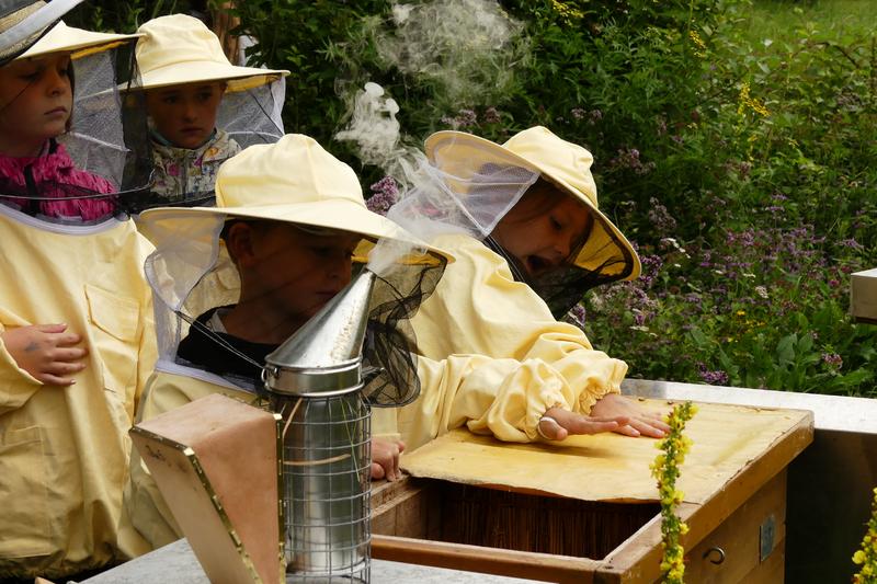 Die Kinder staunen über die Wärme und das Vibrieren der Bienen  (Foto: Jonas Ewert)