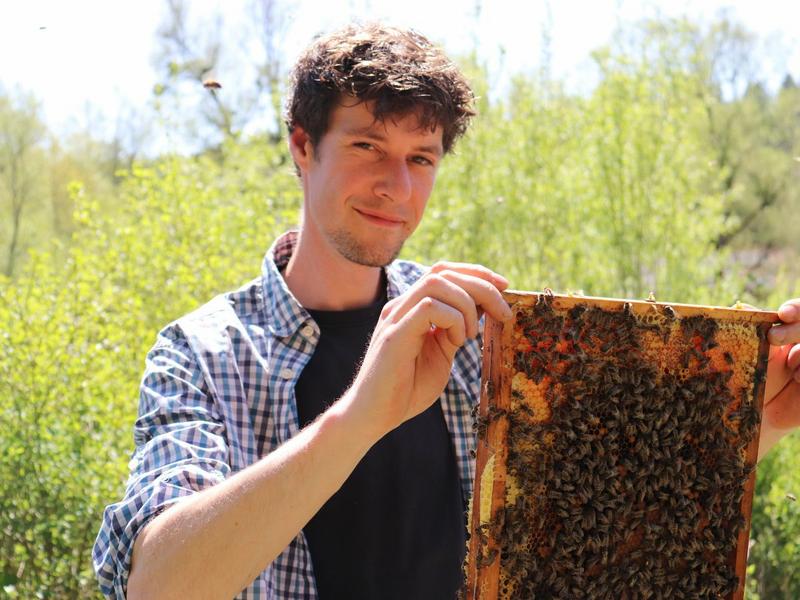 Mellifera-Imker Paul Lukhaub bei den Bienen. (Foto: Nick Leukhardt)