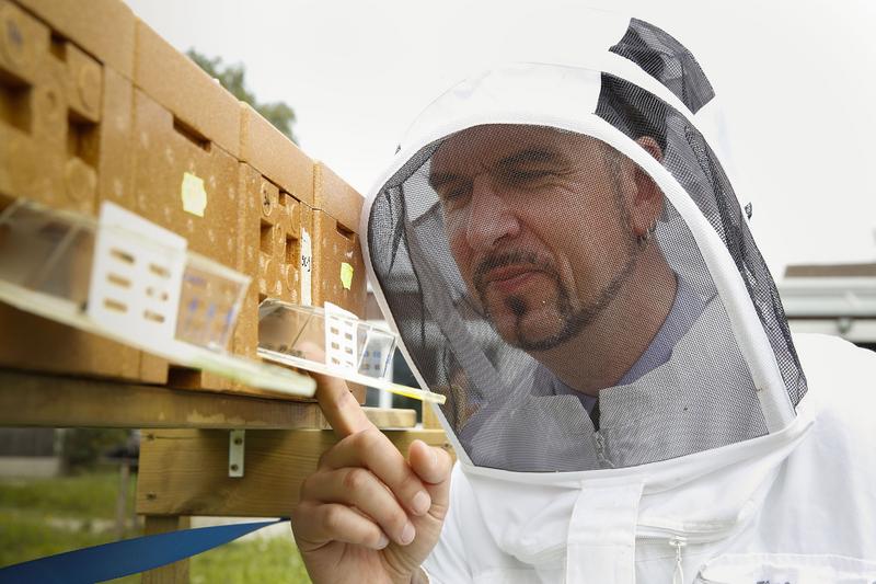 Dr. Peter Neumann. (Foto: Institut f&uuml;r Bienengesundheit Bern)