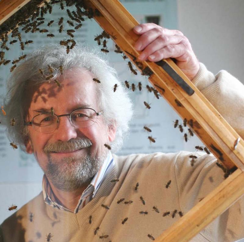 Prof. Dr. J&uuml;rgen Tautz (BEEgroup W&uuml;rzburg) 