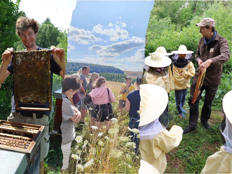 Ob beim Imkerkurs, einer Bl&uuml;hfl&auml;chenf&uuml;hrung oder einem Bienen-Erlebnistag, mit unseren Projekten begeistern wir Menschen f&uuml;r Bienen, Hummeln & Co. (Foto: Lydia Wania-Dreher; Stefan Sch&uuml;ler; Nick Leukhardt)