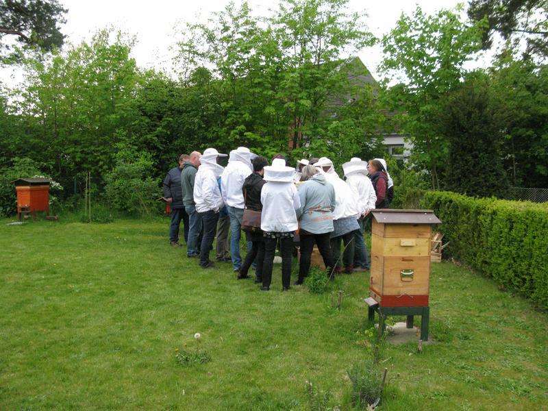 Interessiert beobachten die Teilnehmenden den Schwarmeinlauf. (Foto: Jürgen Möller-Nehring)