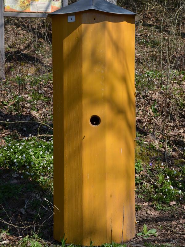 Abgehobene Bienenwohnung? Seit mehreren Jahren leben Bienen imkerlich betreut in der „Rakete“ auf Melliferas Lehrbienenstand.  (Foto: Lydia Wania-Dreher)