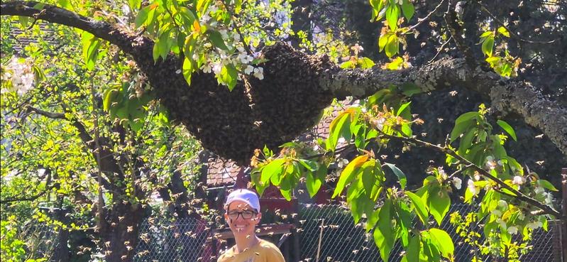 Mit den Bienen schw&auml;rmen... (Foto: Ramzi Maliha)