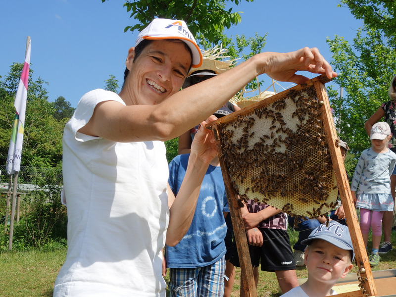  (Foto: Mellifera e. V.)