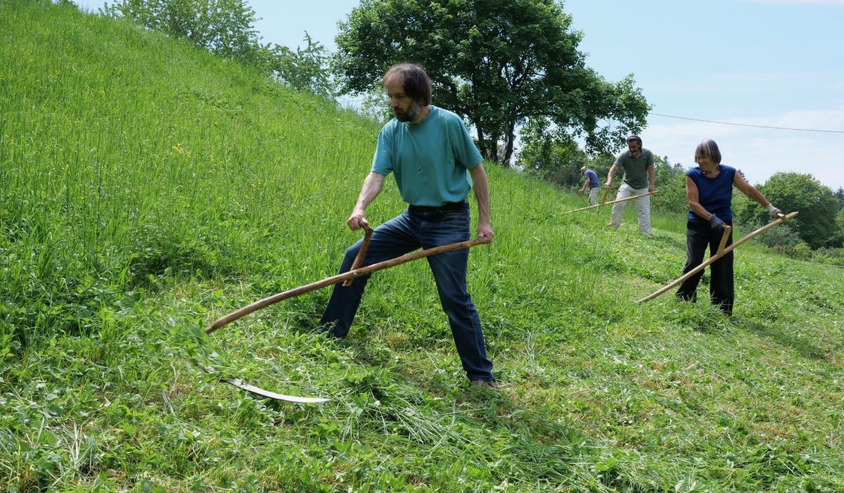 Die Stuttgarter Sensenschwinger m&auml;hen gerne gemeinsam ihre Wiesen &ndash; und sch&uuml;tzen dabei Umwelt und Insekten. (Foto: Bienenschutz Stuttgart e. V.)