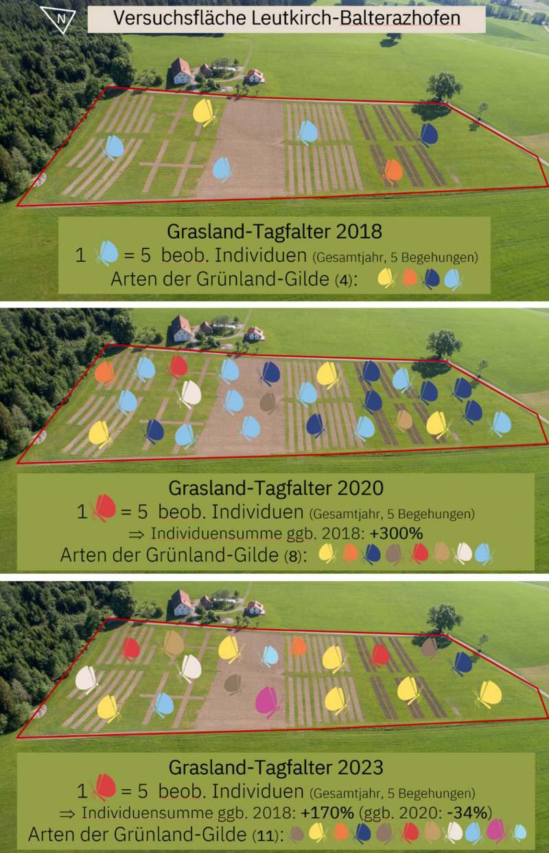 Entwicklung der Arten- und Individuenzahl der typischen Tagfalter der mittleren bis mageren Wiesen in der Versuchsfläche „Buntes Grünland“ in Leutkirch-Balterazhofen von 2018 bis 2023.  (Foto: eigene Daten; Luftbild elobau Stiftung/T. Wimmer, 2018)