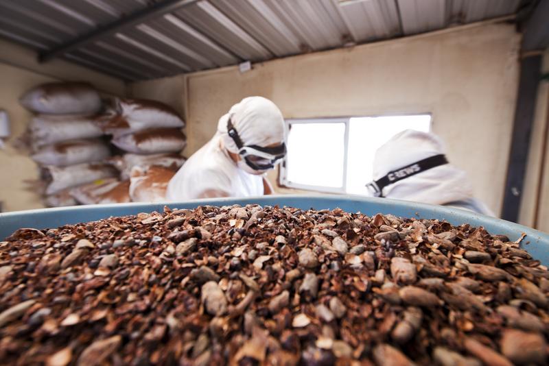 Von Hand werden die Kakaobohnen bei Pacari direkt in Ecuador weiterverarbeitet. (Foto: PACARI ©)
