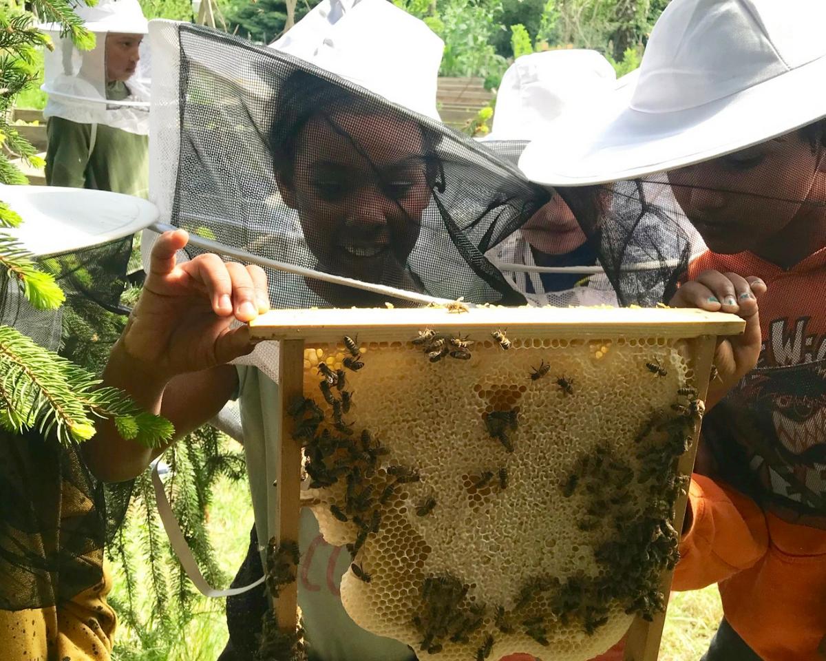 Der Kontakt mit Bienen f&ouml;rdert positive Emotionen. (Foto: Silke Meyer, salzundhonig)