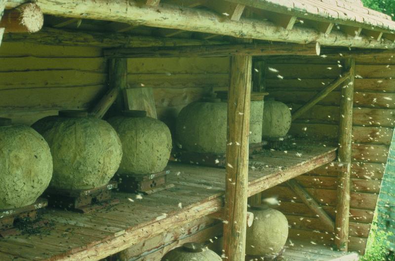 Alemannische R&uuml;mpfe, traditionelle Bienenk&ouml;rbe aus Stroh mit Kuhmist bestrichen an der Fischerm&uuml;hle. (Foto: Thomas Radetzki)
