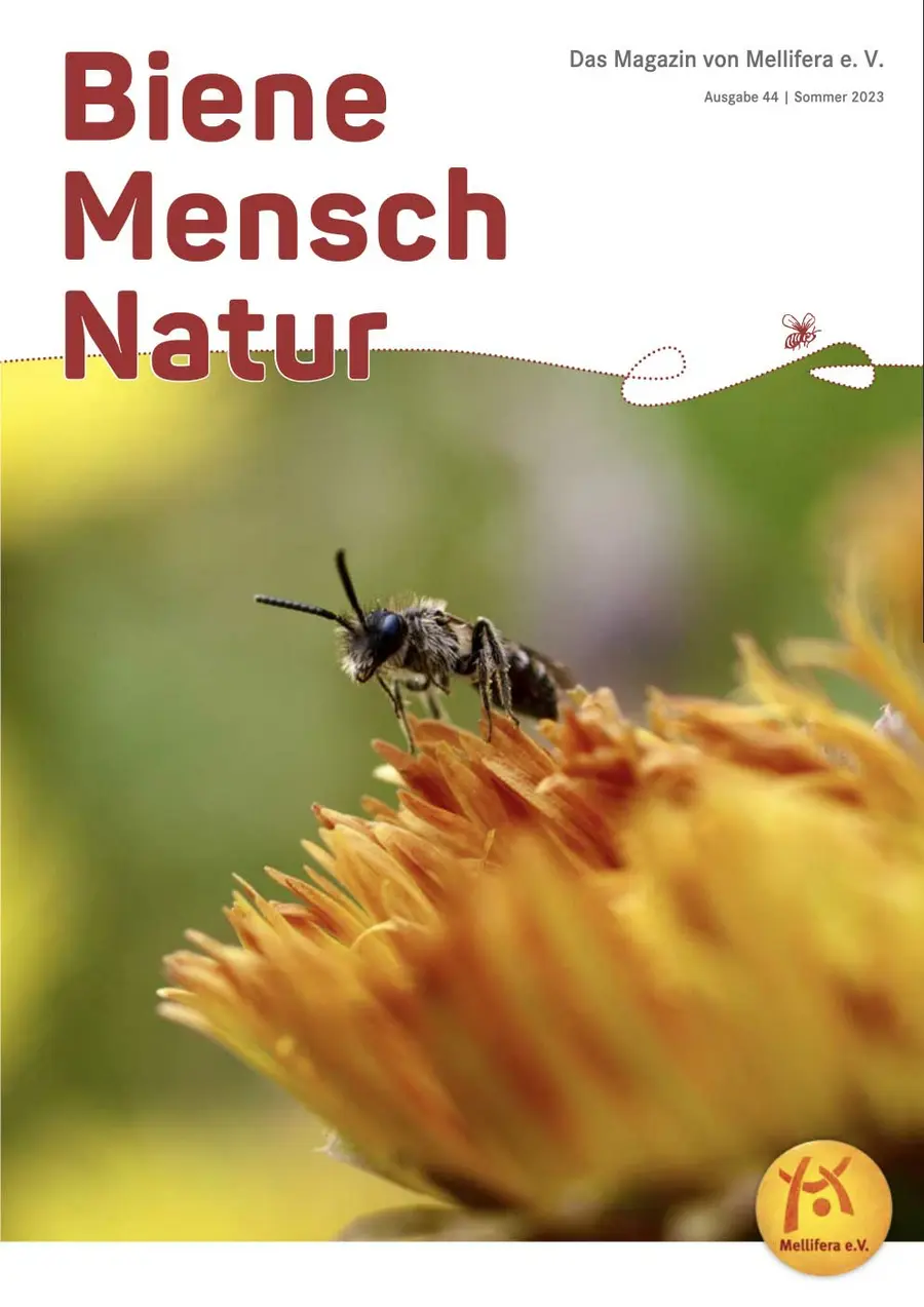 Cover von »Biene Mensch Natur« Ausgabe 44 | Sommer 2023