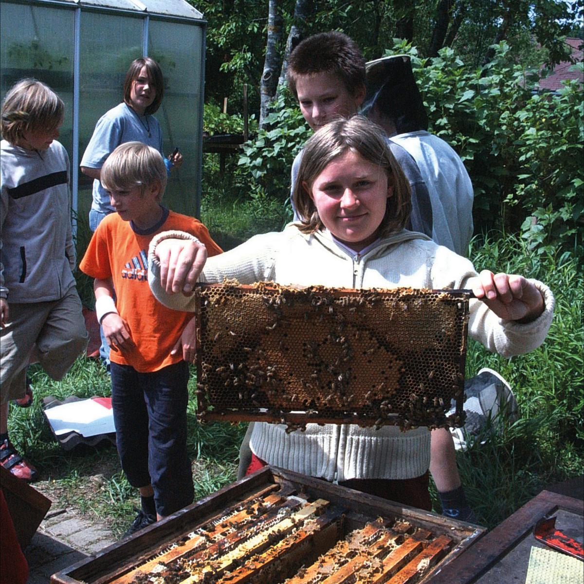 Bienen-AG 