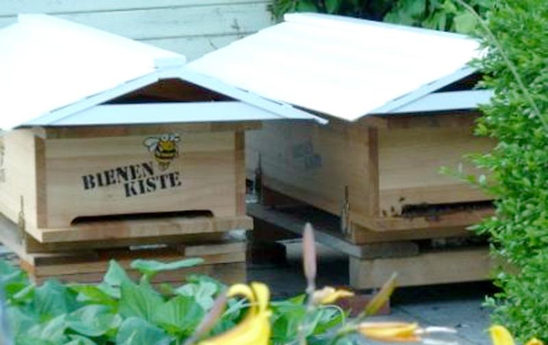 (c) Foto Acki (www.bienenkiste.de/rat/netzwerk/visitenkarte/index.html?u=acki) 