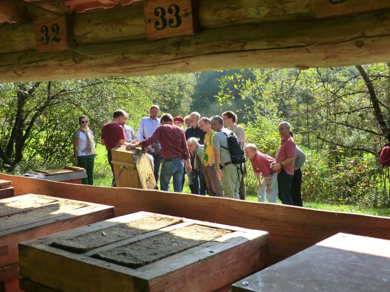 Workshop am Bienenstand 