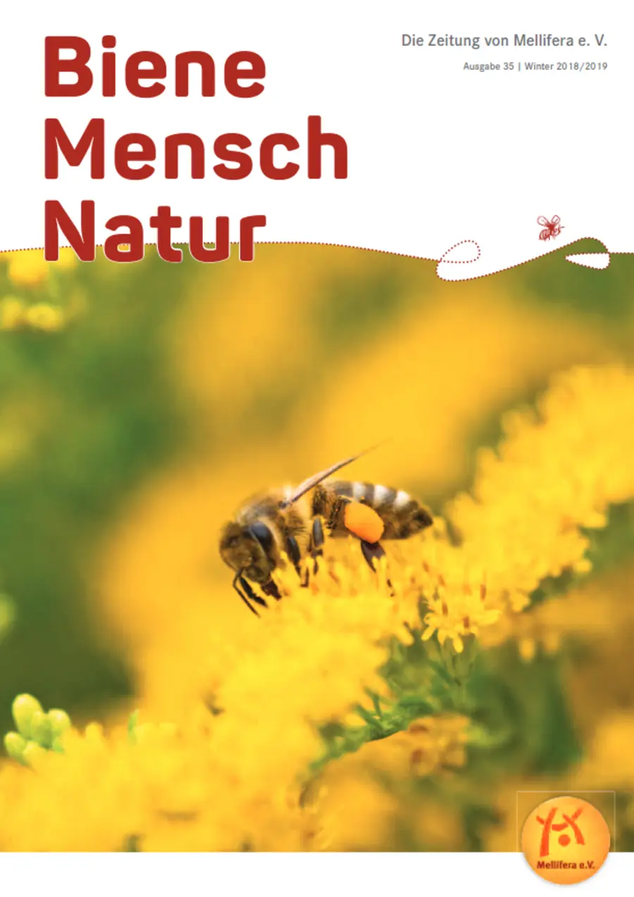 Cover von »Biene Mensch Natur« Ausgabe 35 | Winter 2018/2019