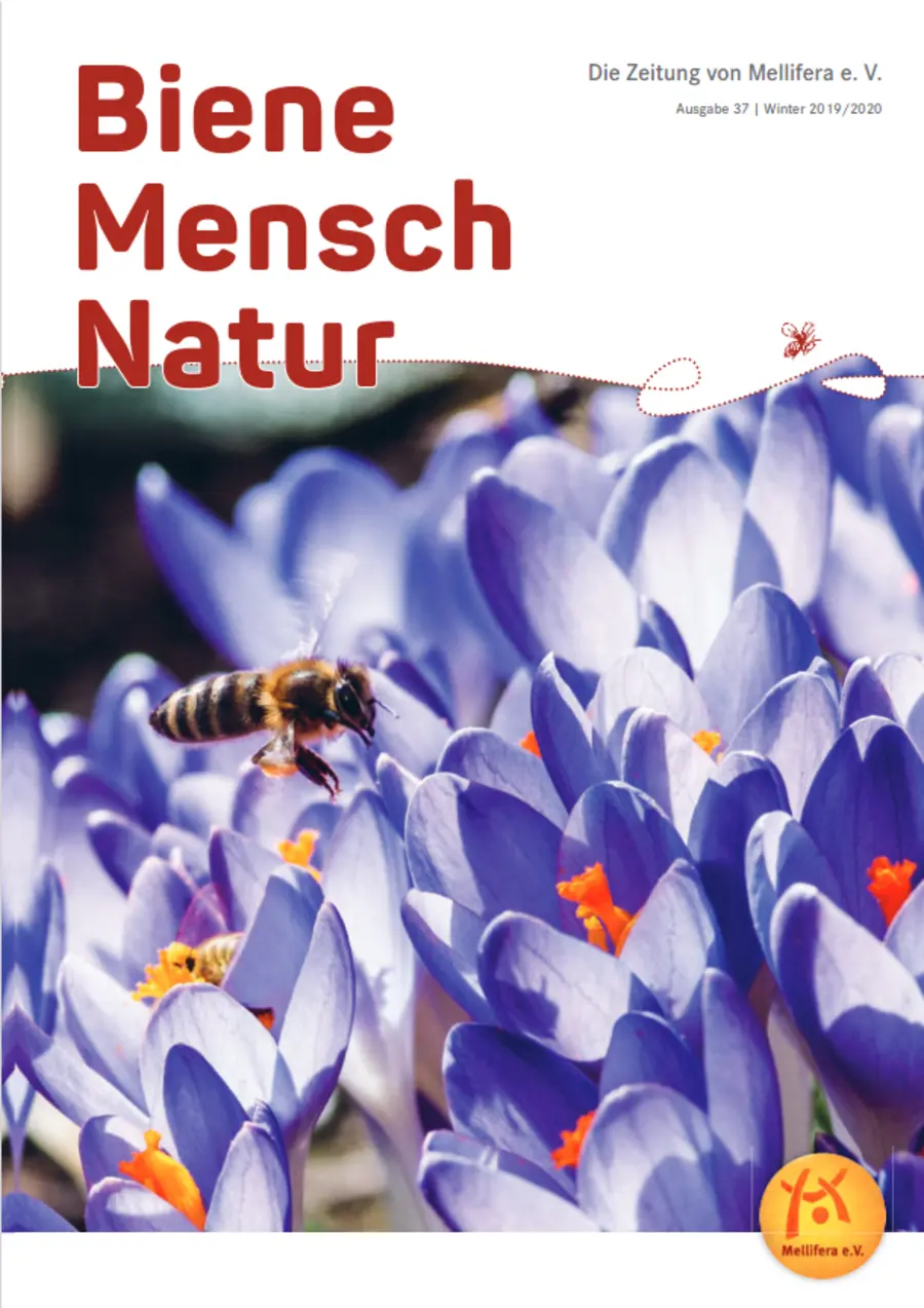 Cover von »Biene Mensch Natur« Ausgabe 37 | Winter 2019/2020