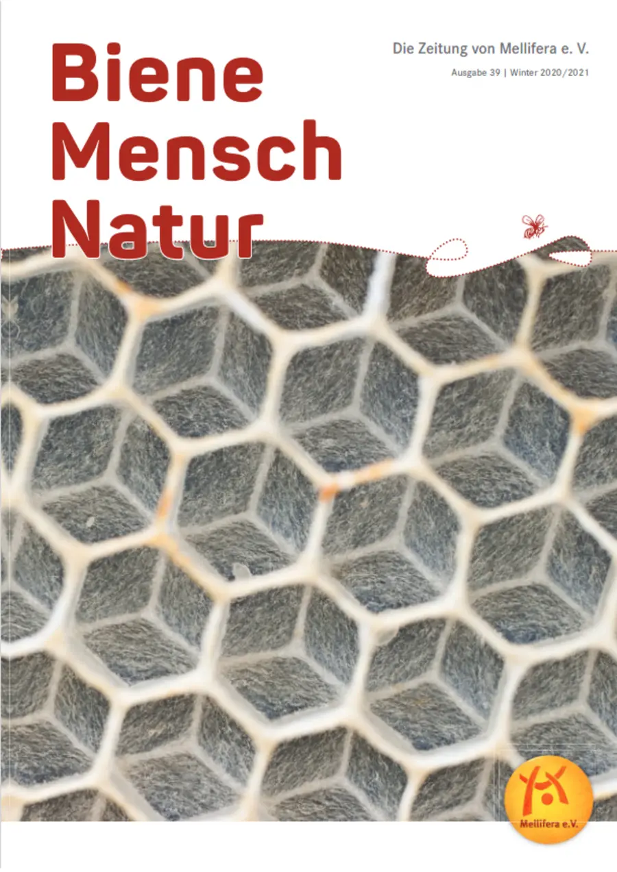 Cover von »Biene Mensch Natur« Ausgabe 39 | Winter 2020/2021